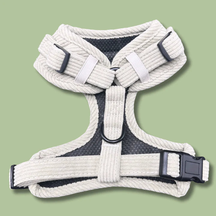 Ultimate Sage Serenity Bundle