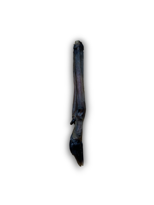 Naturals Roe Deer Leg