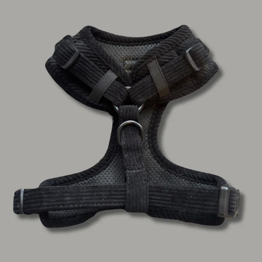 Midnight Elegance Harness