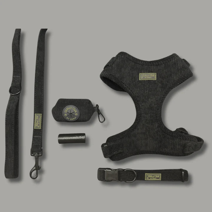 Ultimate Midnight Elegance Bundle