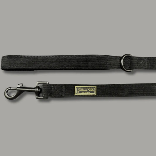 Midnight Elegance Lead
