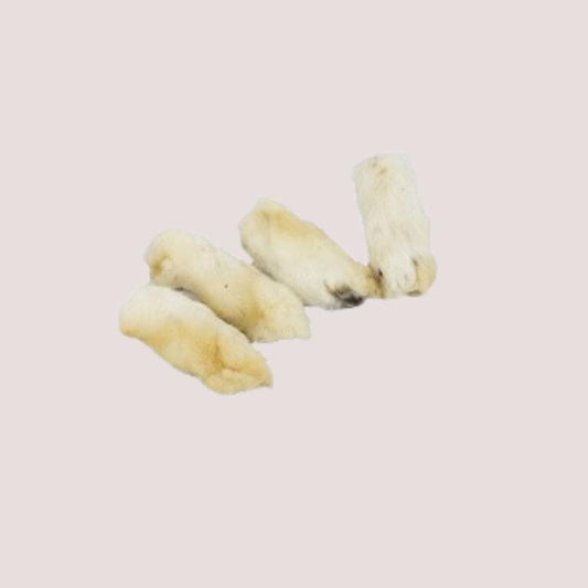 Furry Rabbits Feet x 5