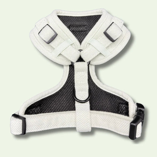 Minty Fresh Harness