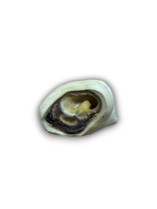 Naturals Beef Ear Root