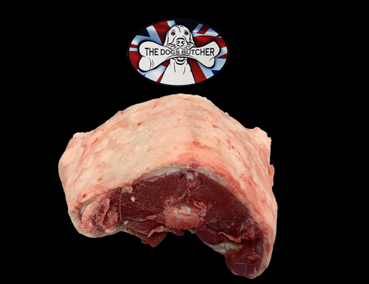 Chinese Water Deer Saddle
