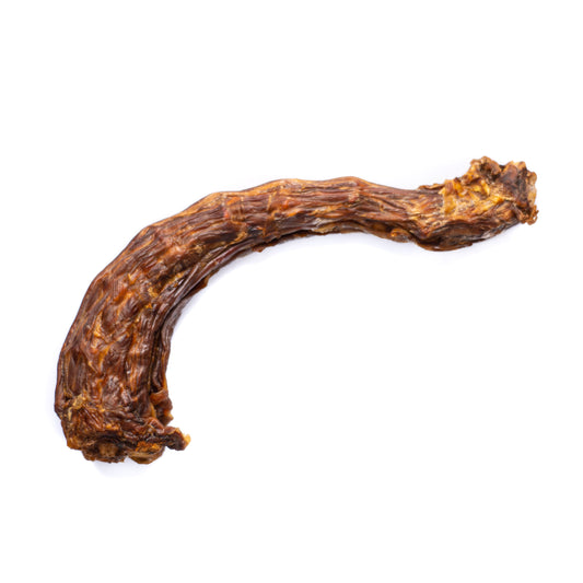 Turkey Necks