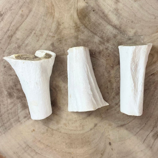 Filled Sterilised Bones Meaty