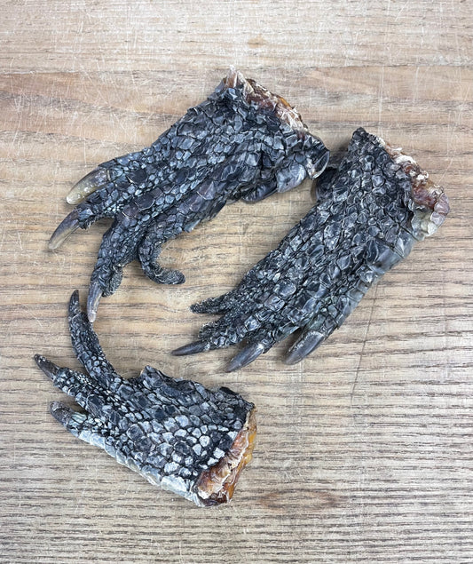 Crocodile Foot Treat