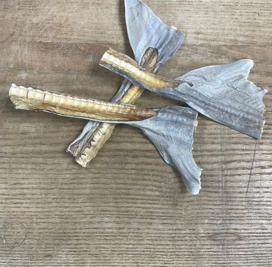 Shark Blade