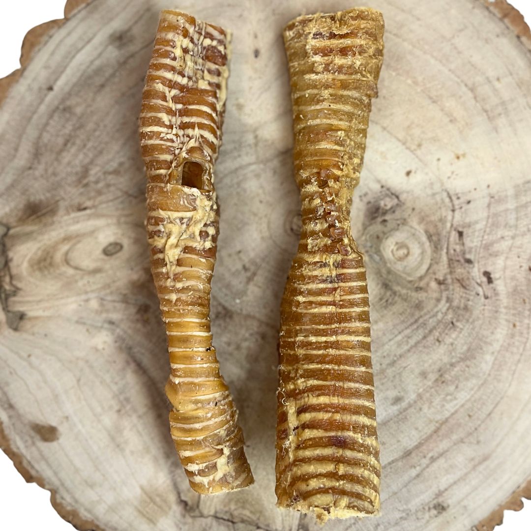 Buffalo Trachea Approx 30cm