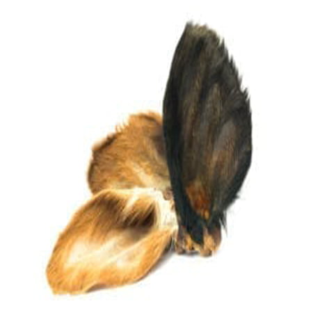 Hairy Cows Ear x 5