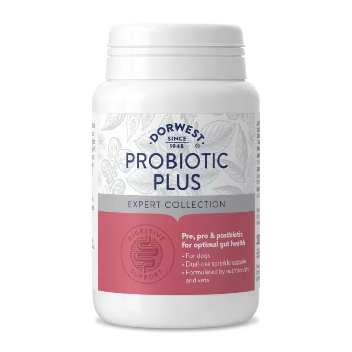 Dorwest Probiotic