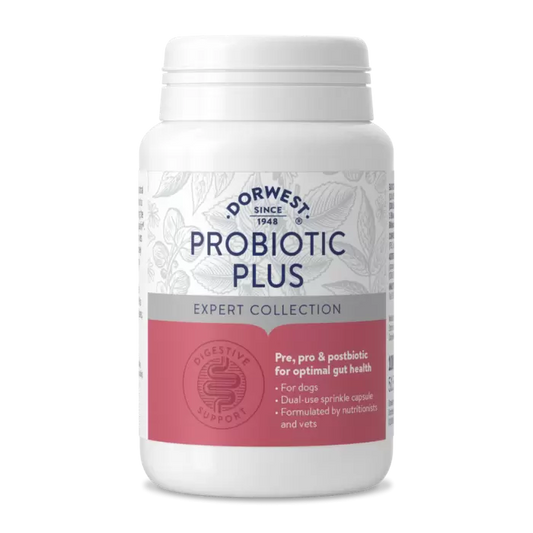 Dorwest Probiotic