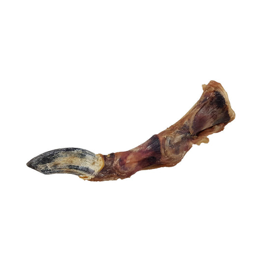 Ostrich Feet