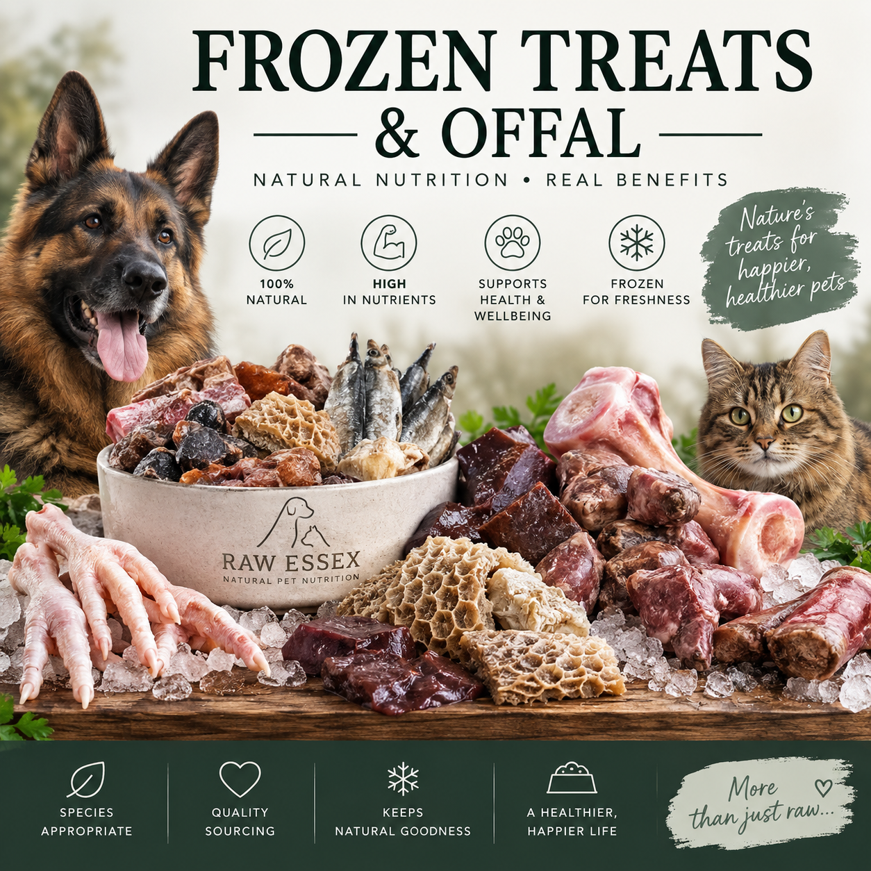 Frozen Raw Treats