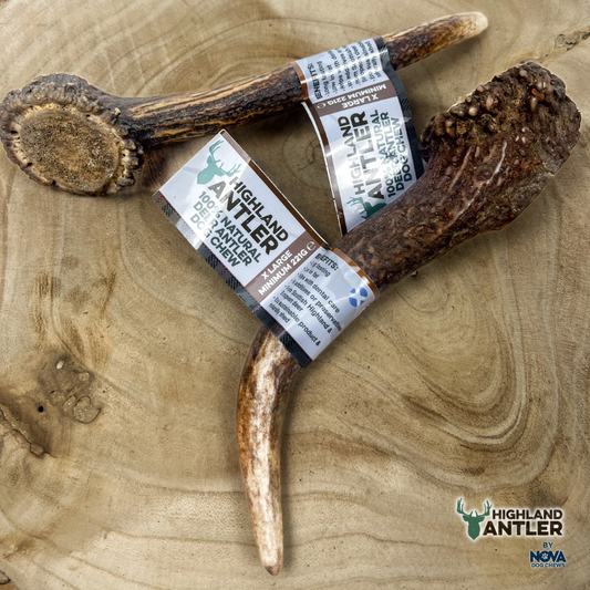 Antler Extra Large