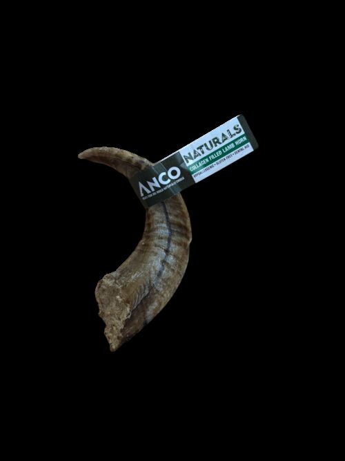 Rams Horn XL with Collagen
