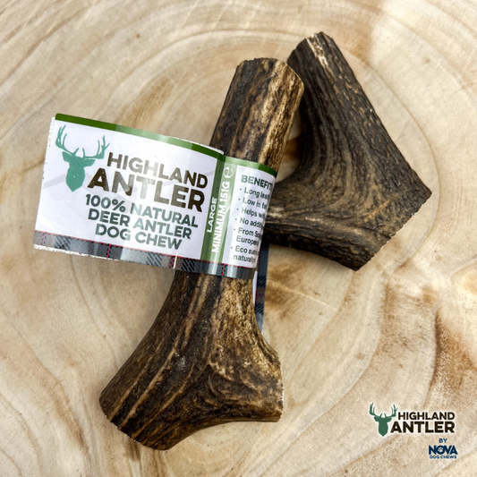 Antler  Large
