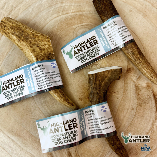 Antler Small