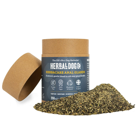Anal Gland Blend