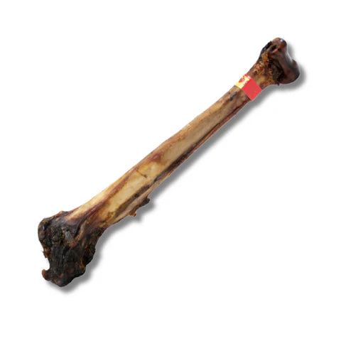 Paddock Farm Ostrich Caveman Bone