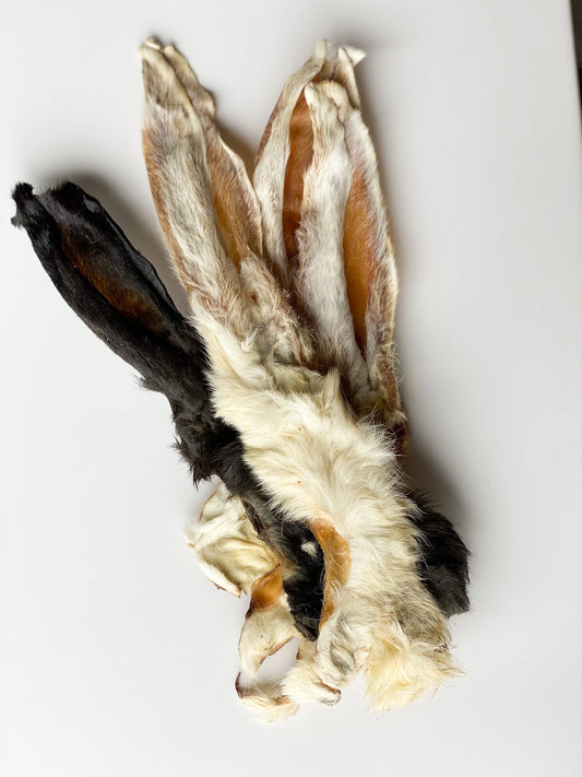 Hairy Rabbit Ears x 5