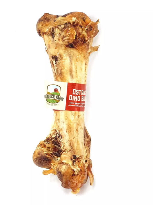 Ostrich Dino Bone
