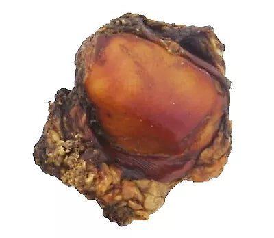 Beef Knee