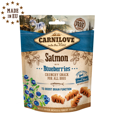 Crunchy Salmon with Blueberries