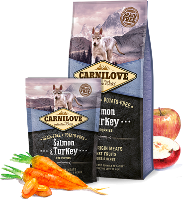 Carnilove Salmon and Turkey for Puppies