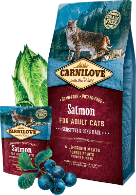 Carnilove Salmon