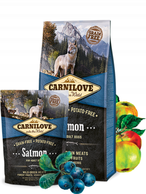Carnilove Salmon