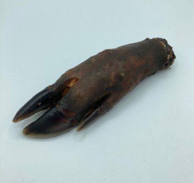 Wild Boar Trotter